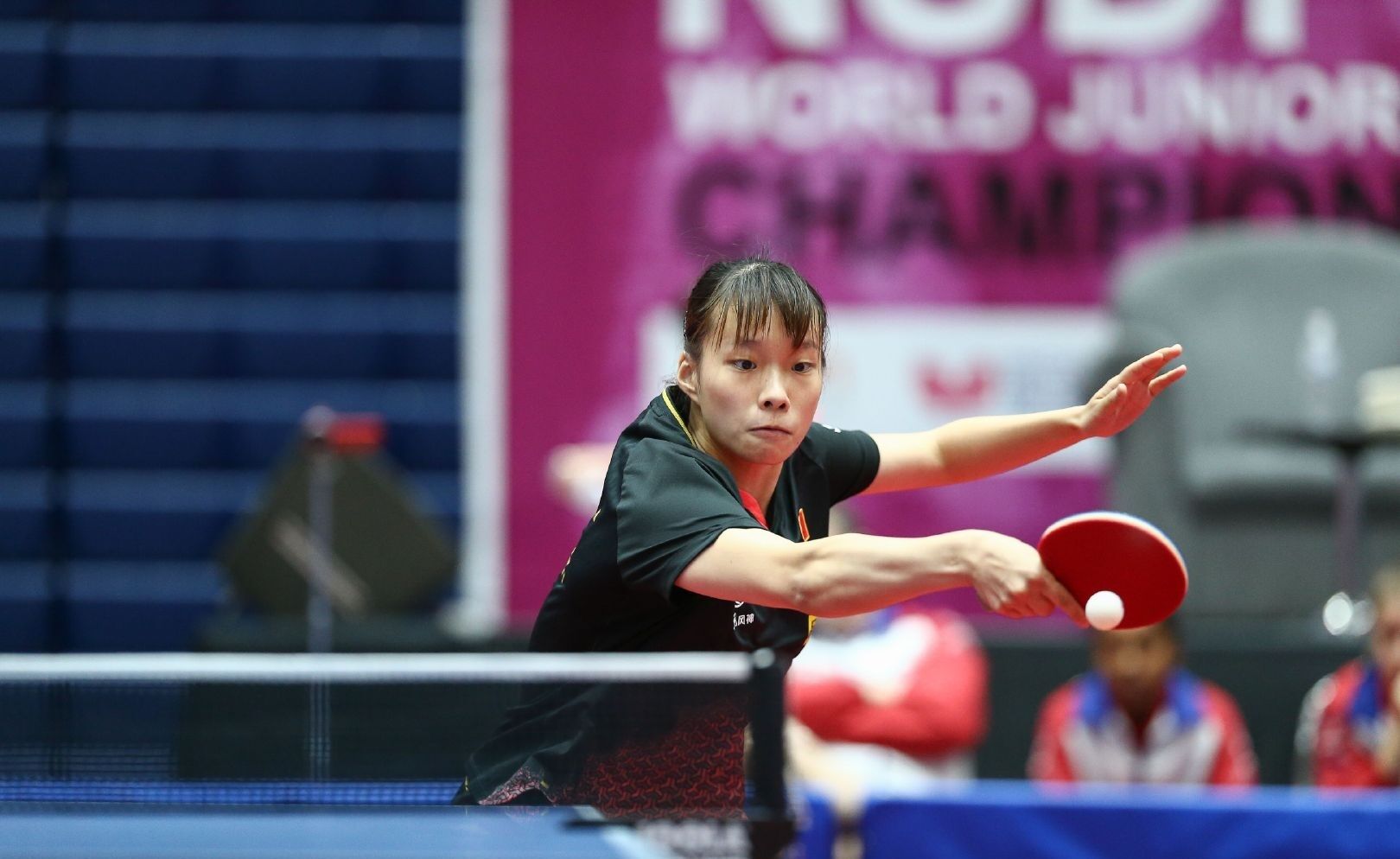 这一胜利无 这一胜利无