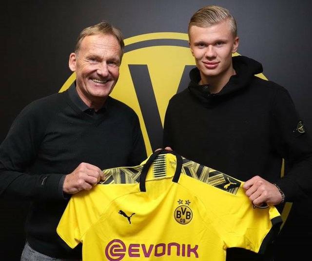 的胚子时 的胚子时